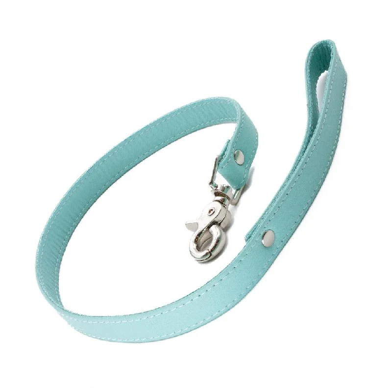 Zoë Ligon x The Stockroom Limited Edition 2' Leash, Mint Green